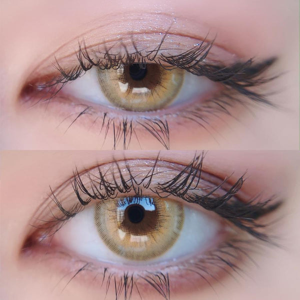 [New] LA GIRL Brown Contact Lenses | 1 Year